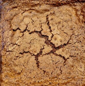 Basic Chocolate Brownie