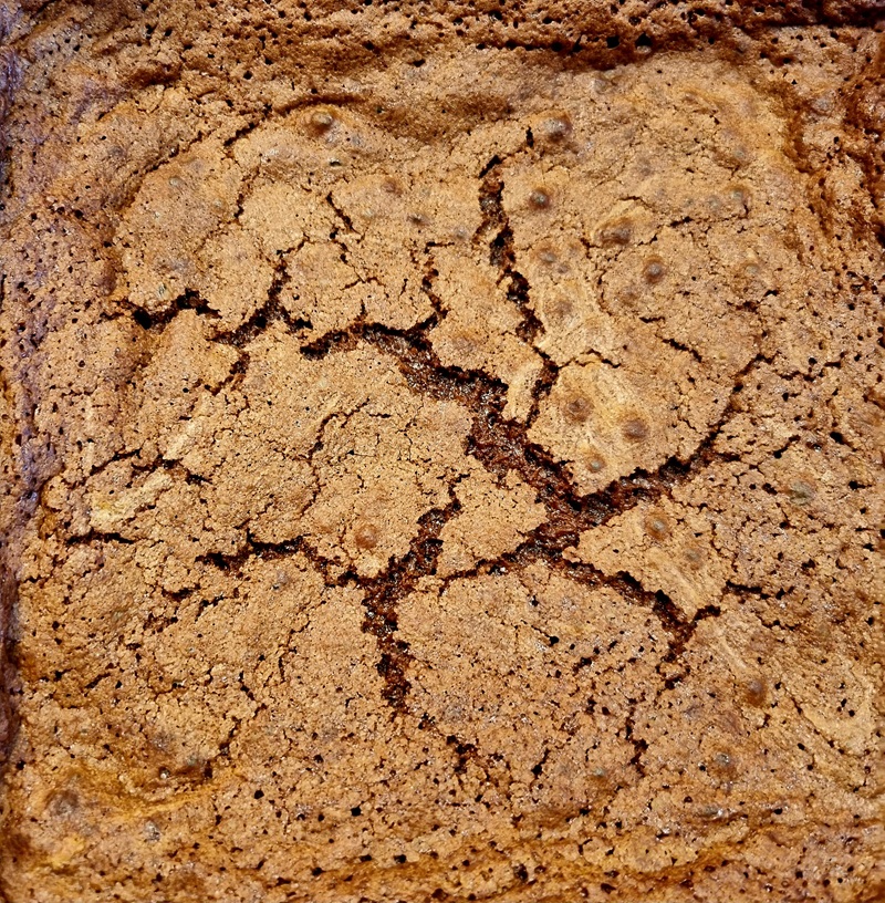 Basic Chocolate Brownie